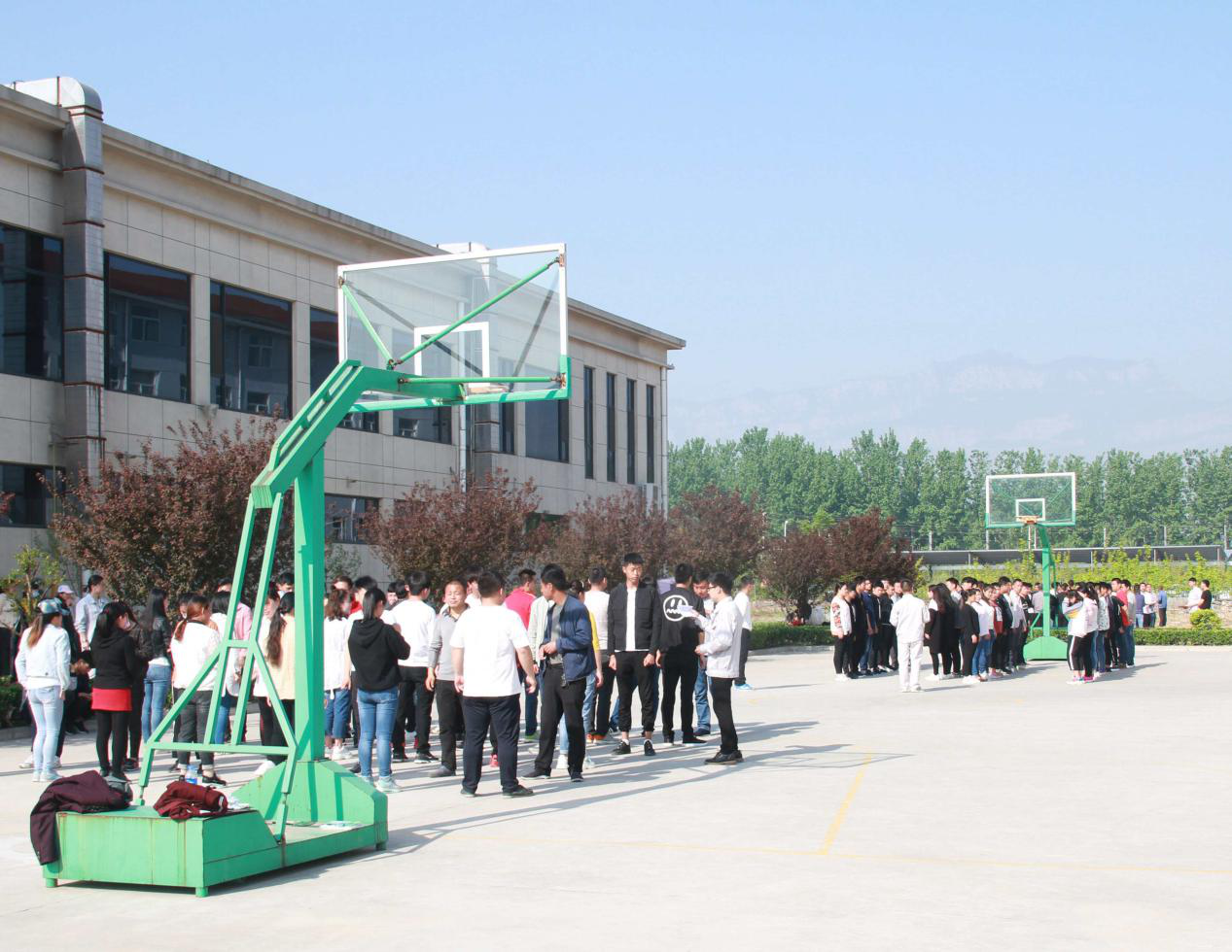 图片3