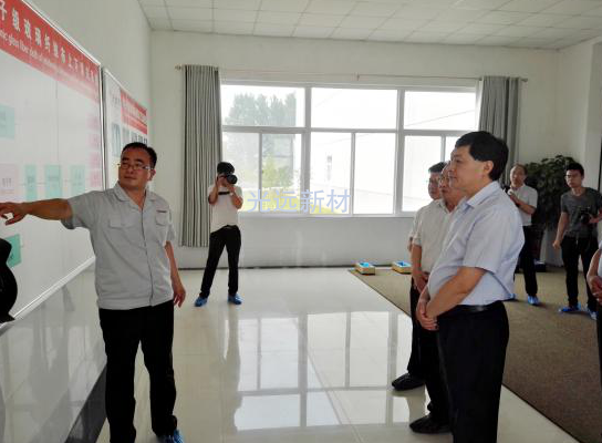 安阳市委常委、组织部长易树学一行到公司调研