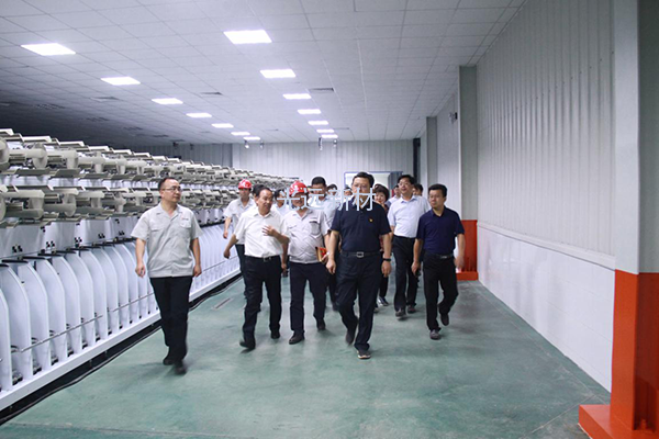 林州市委书记王军带领四大班子领导到公司调研指导工作